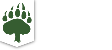Medwood S.r.l. Logo